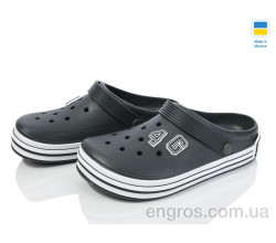 Кроксы Golden Lion